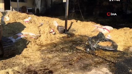 Korkunç manzarayla karşılaşılan ahırda faciayı köpek haber verdi