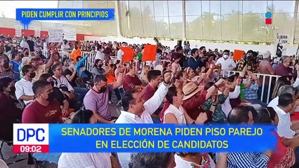 Proceso para elegir coordinador de comités de la 4T debe cumplir principios: Malú Micher