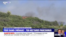 Incendies dans l'Hérault: 