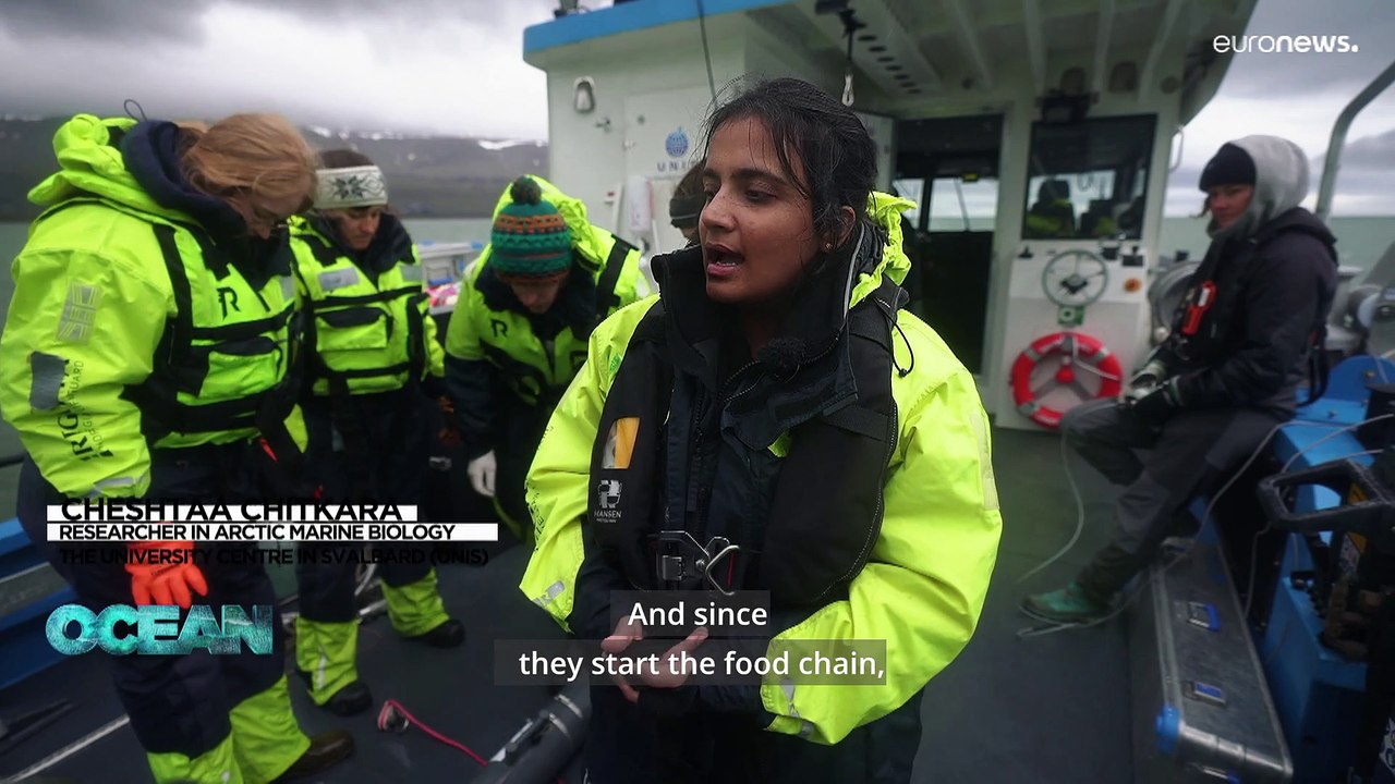 Meet the scientists trying to find out why the Arctic is warming faster than the rest of the world