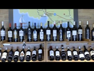 À la découverte des vins de Bandol