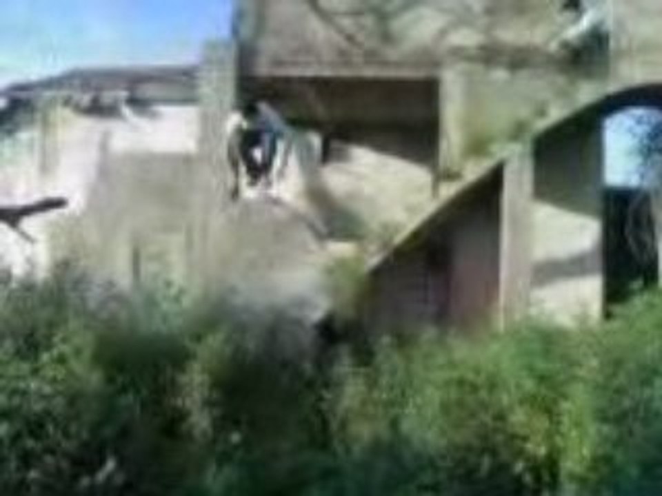 Monedo 2