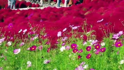 These Places Shouldn't Exist on Earth But They Damn Well Do