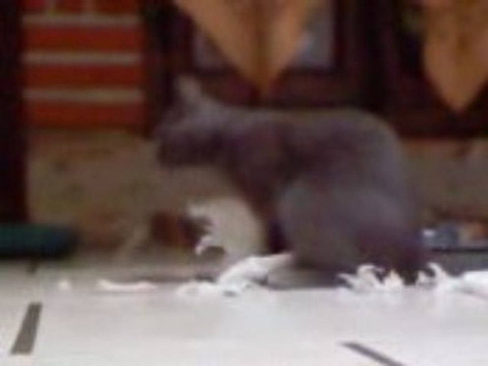Vidéo0035