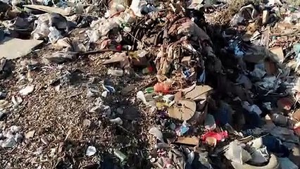 Hallan un tesoro en dólares enterrado en un basurero de Argentina