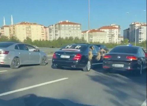 Düğün konvoyuna 'çakarlı' otomobille katılan 8 şoföre para cezası uygulandı