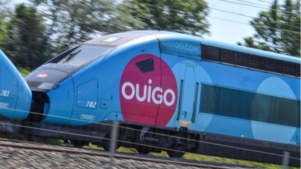 Le cauchemar des passagers d'un Lyon-Paris en Ouigo arrêtés dans une gare à l’abandon
