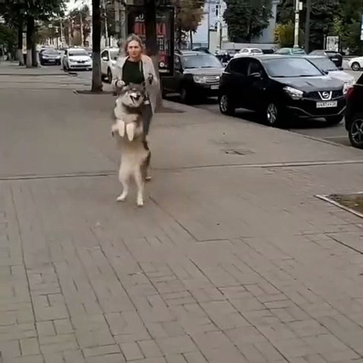 Happy