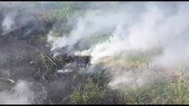 Bombeiros são acionados para atender incêndio ambiental no Ecopark Oeste