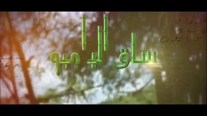 مسلسل ساق البامبو الحلقة 4 الرابعة