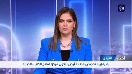 بلدية إربد تخصص قطعة أرض لتكون مركزا لعلاج الكلاب الضالة