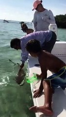 Shark Bites Off Man's Pinky