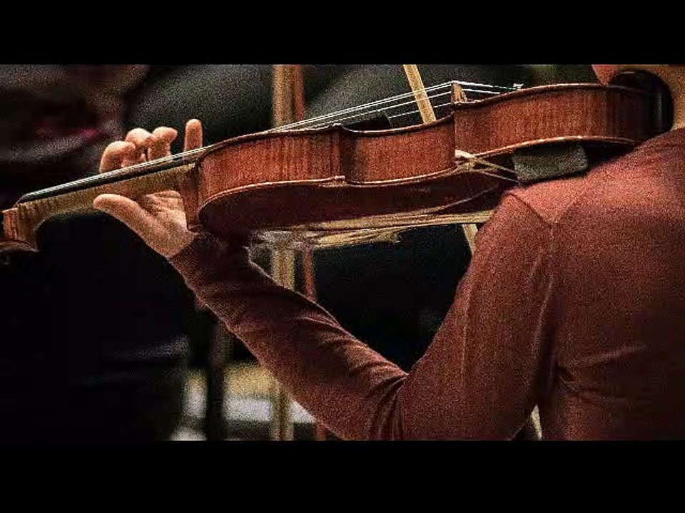 Violinista Seriate
