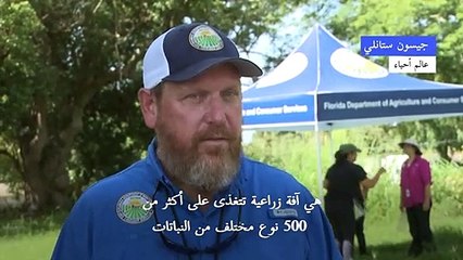 فلوريدا تواجه غزو الحلازين الإفريقية العملاقة