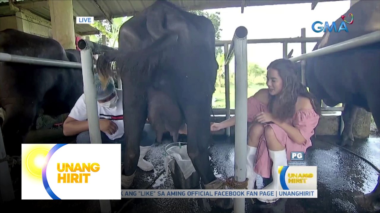 UH Funliners: Jenzel Angeles, sinubukang gatasan ang kalabaw | Unang Hirit