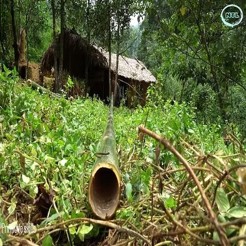 Upgrading Water Systems(new water line) make water shower by bamboo, outdoor shower for Bushcraft Shelter