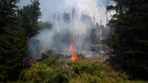 Firefighters battle raging wildfire in the Czech Republic