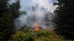 Firefighters battle raging wildfire in the Czech Republic