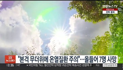 "본격 무더위에 온열질환 주의"…올들어 7명 사망