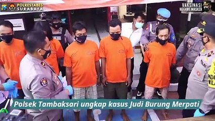 Polsek Tambaksari Menindak Perjudian Burung Merpati