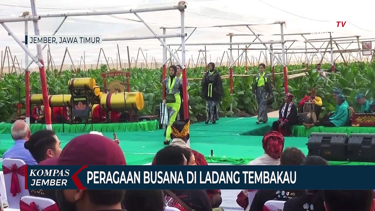 Peragaan Busana di Ladang Tembakau