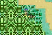 Pokemon Emerald Multiplayer online multiplayer - gba