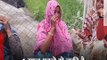 खंडवा (मप्र): 3 सगी बहनों के शव पेड़ से लटके मिले