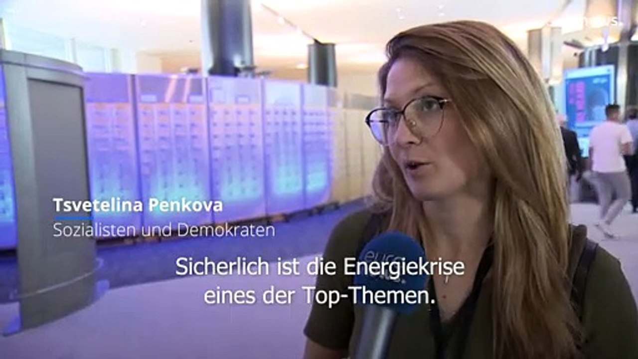 Die Fragen, die EU-Abgeordnete am meisten beschäftigen