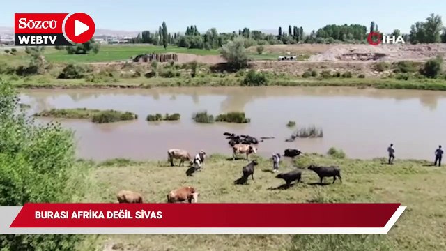 Burası Afrika değil Sivas