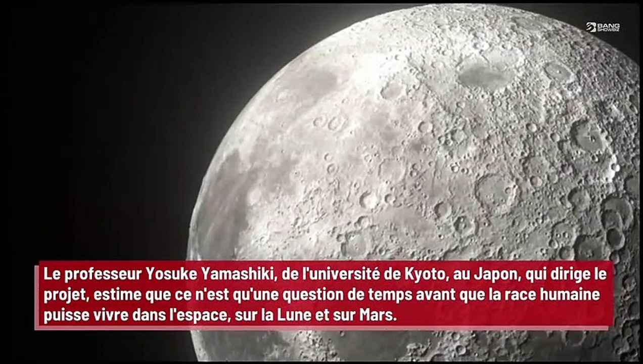 Des bébés naîtront sur la lune après la création d'une ville lunaire !