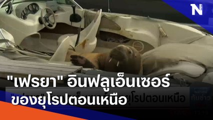 "เฟรยา" อินฟลูเอ็นเซอร์ของยุโรปตอนเหนือ | เนชั่นทันข่าวเที่ยง | NationTV22