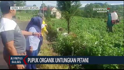 Download Video: Lahan Subur, Hasil Pertanian Kentang Melimpah