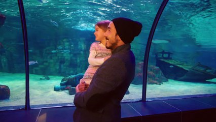 Alas de Amor - Capitulo 57 (Audio Español) | Bana Sevmeyi Anlat