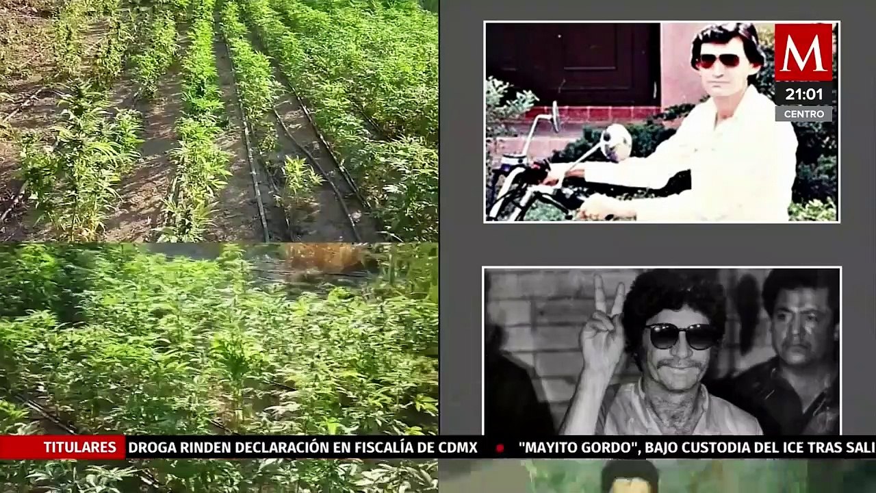 Milenio Noticias, con Alejandro Domínguez, 26 de julio de 2022