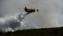 Hérault : 1 000 hectares de végétation ravagés par un incendie