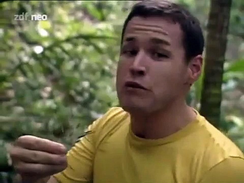 Jeff Corwins Tierische Abenteuer-Panama