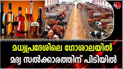 മധ്യപ്രദേശിലെ ഗോശാലയിൽ മദ്യ സൽക്കാരത്തിന് പിടിയിൽ
