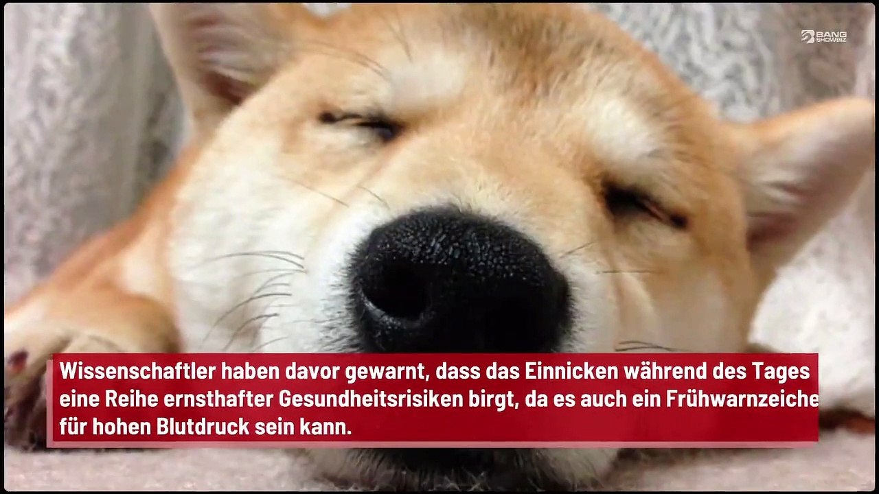 Mittagsschlaf erhöht das Schlaganfallrisiko