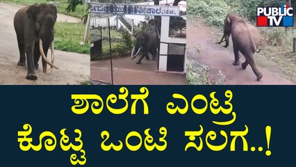 Video Of Elephant Entering Into Morarji Desai Residential School | Biligirirangana Betta