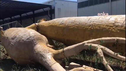 CHP'li Torun'dan, Bakan Kurum'a Ankapark Yanıtı: "Ankara'ya İhanetin Üstünü Kuru Hamasetle Örtemez, Hesap Vermekten Kaçamazsınız"