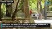 La Policía de Zamora sorprende a dos ancianos manteniendo relaciones en un parque y los detiene