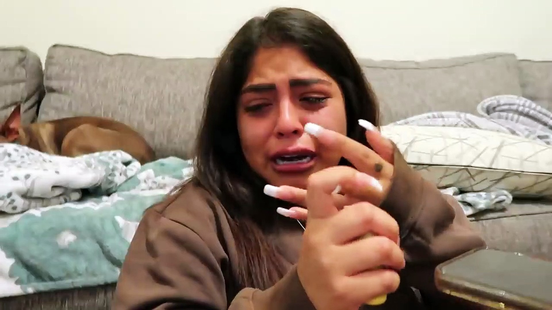 دانا المصريه تويتر