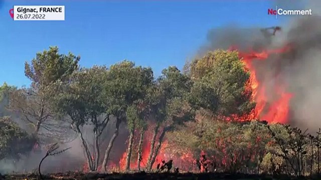 Hundreds of firefighters battle wildfires in France and Czech Rep