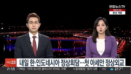 내일 한·인도네시아 정상회담…첫 아세안 정상외교