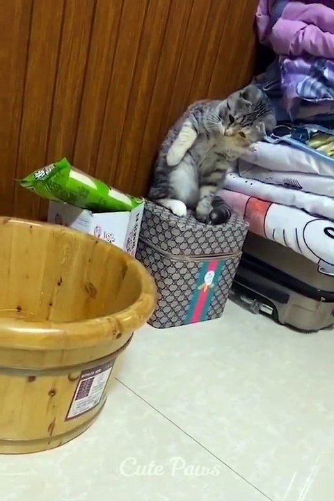 Funny paw tastes my toe! Yummy?