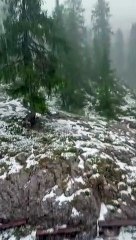 Lecco, le montagne di nuovo bianche: ma è grandine, non neve