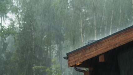 Quelle est l'odeur de la pluie ?