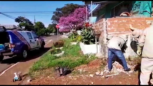 Defesa Civil retira enxame de abelhas de muro no Santa Cruz