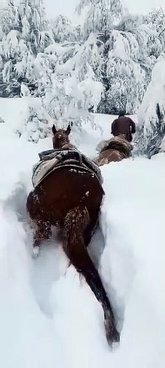 La nevada en Chubut alcanzó los 1,40mts