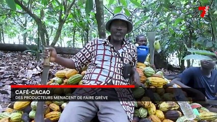 Le 7 minutes du 27 juillet 2022 (édition du 6h)